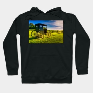 Old Horse Buggy 2 Hoodie